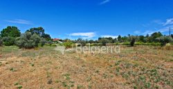 Terreno Agrícola em Vila Cortês