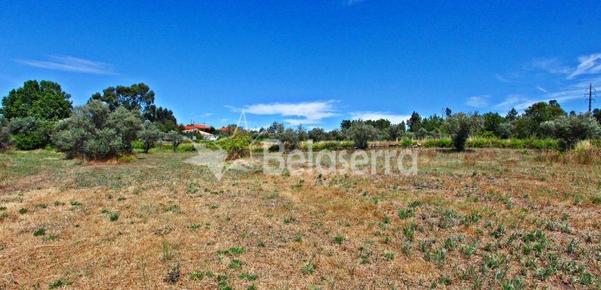 Terreno Agrícola em Vila Cortês