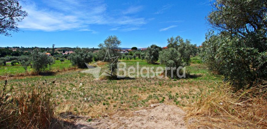 Terreno Agrícola em Vila Cortês