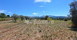 Terreno Agrícola em Vila Cortês