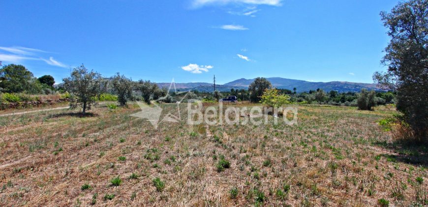 Terreno Agrícola em Vila Cortês