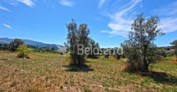 Terreno Agrícola em Vila Cortês