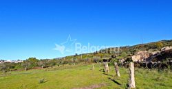 terreno em Santa Marinha