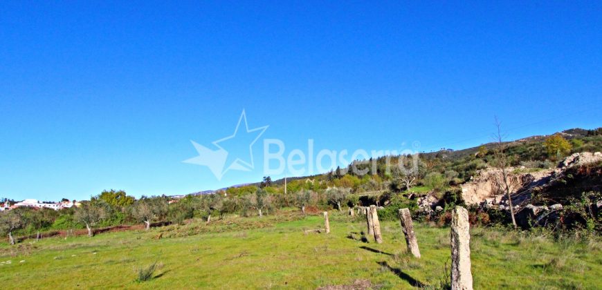 terreno em Santa Marinha