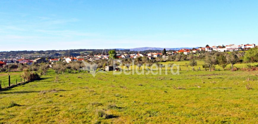 terreno em Santa Marinha