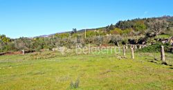 terreno em Santa Marinha