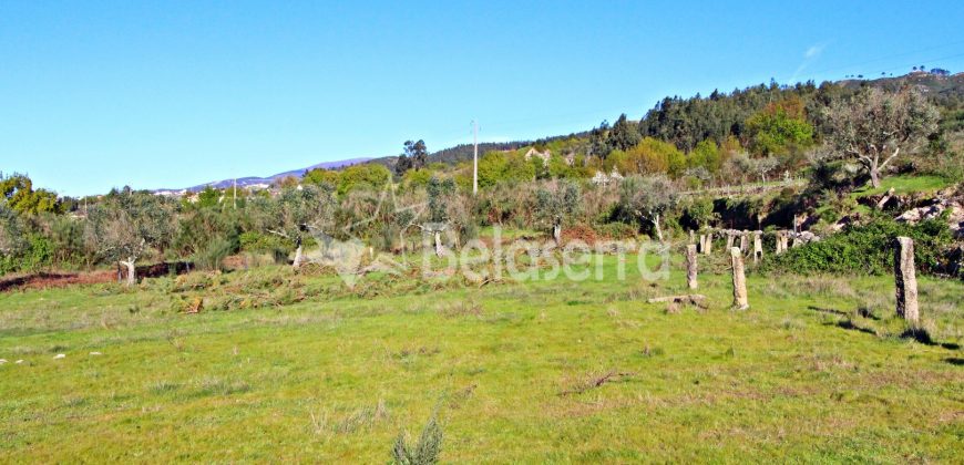terreno em Santa Marinha