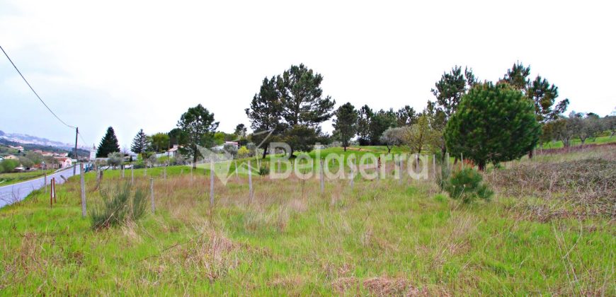 Lote Terreno para Construção em São Martinho