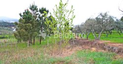 Lote Terreno para Construção em São Martinho