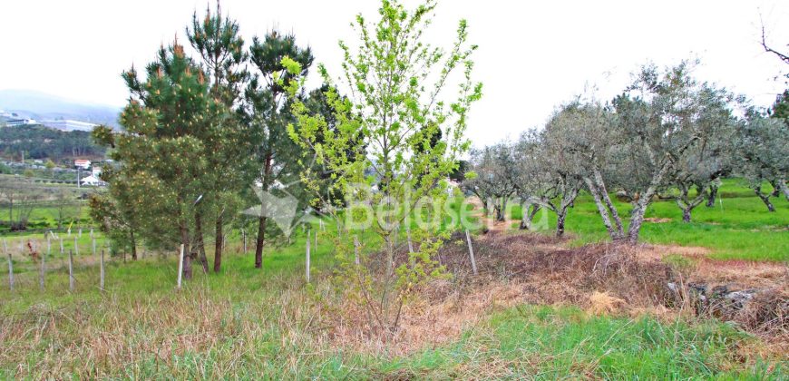 Lote Terreno para Construção em São Martinho