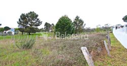 Lote Terreno para Construção em São Martinho