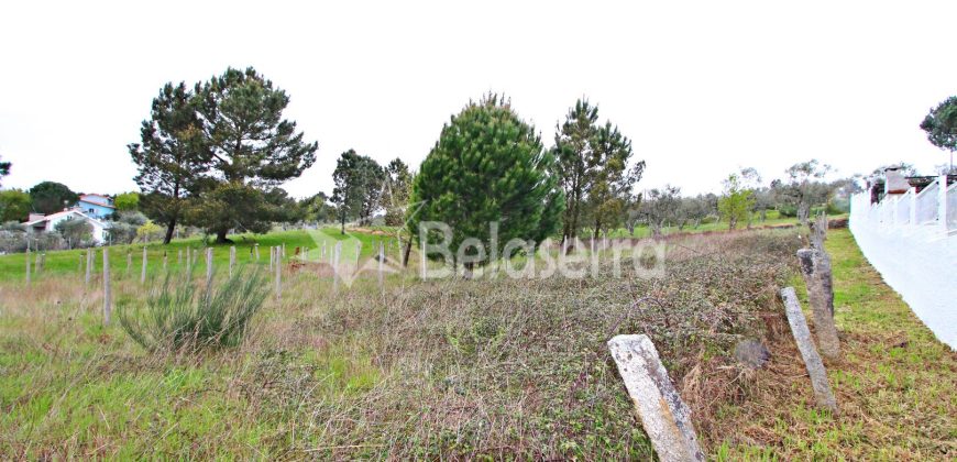 Lote Terreno para Construção em São Martinho