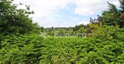 Terreno em Digueifel