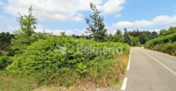 Terreno em Digueifel