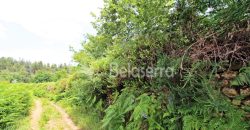 Terreno em Digueifel