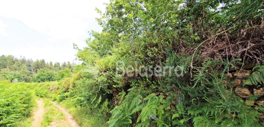 Terreno em Digueifel