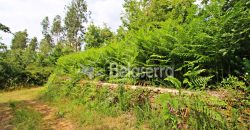 Terreno em Digueifel