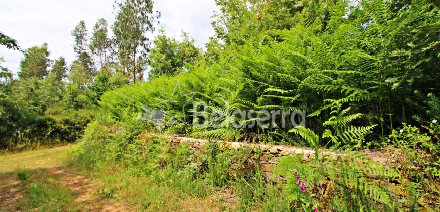 Terreno em Digueifel