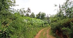 Terreno em Digueifel