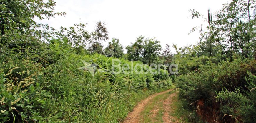 Terreno em Digueifel