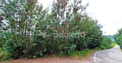 Terreno em Digueifel