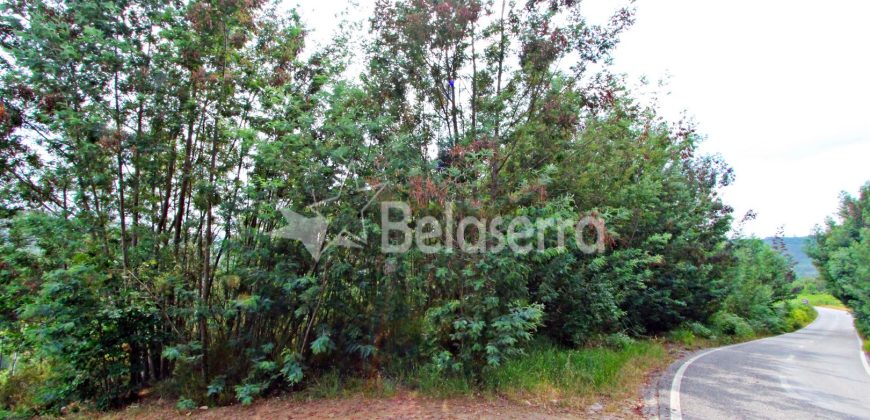 Terreno em Digueifel