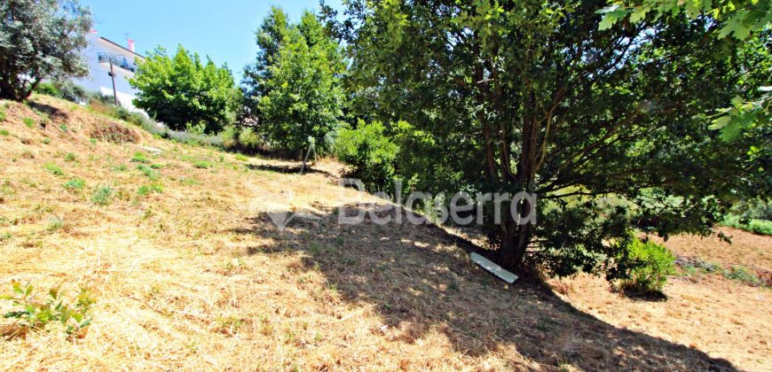 Lote de Terreno para Construção em Seia