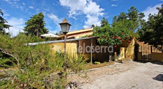 Apartamento T2 em Paços da serra