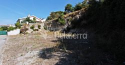 Lote de terreno em Seia