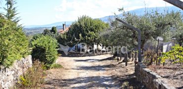 Moradia com Terreno em Passarela