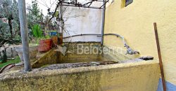 Moradia T2 com Terreno em São Romão