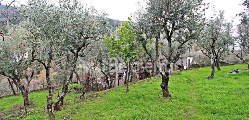 Moradia T2 com Terreno em São Romão