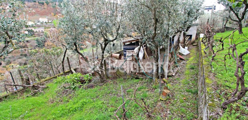 Moradia T2 com Terreno em São Romão