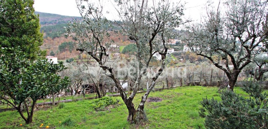 Moradia T2 com Terreno em São Romão