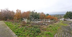 Lote terreno em Seia