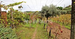 Moradia com Terreno em Gouveia