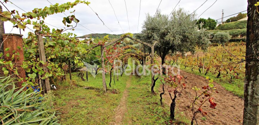 Moradia com Terreno em Gouveia
