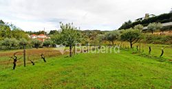 Moradia com Terreno em Gouveia
