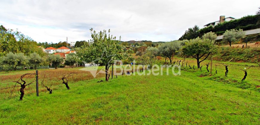 Moradia com Terreno em Gouveia