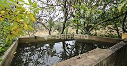 Moradia com Terreno em Gouveia