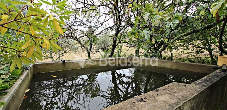 Moradia com Terreno em Gouveia