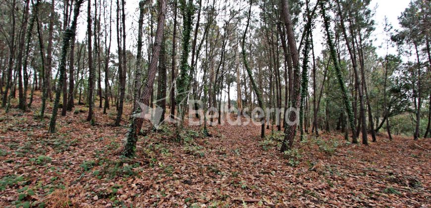 Terreno Rústico em Seia