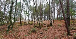 Terreno Rústico em Seia