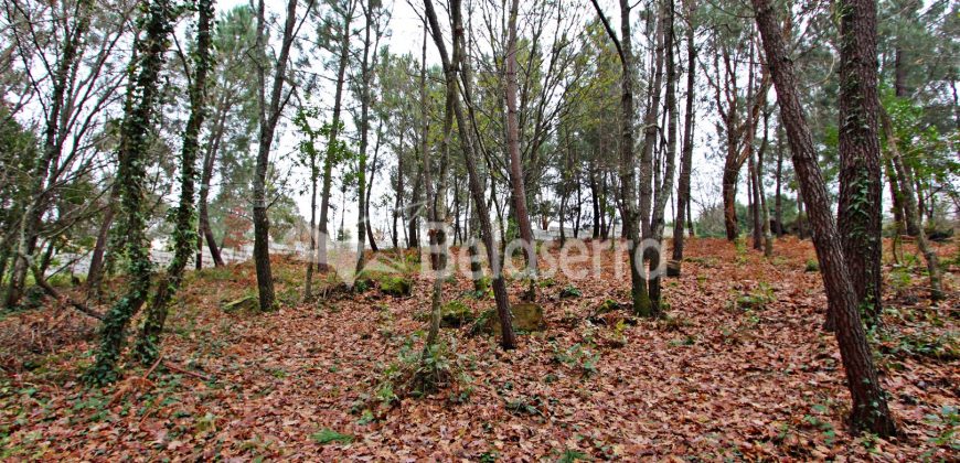 Terreno Rústico em Seia