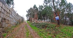 Terreno Rústico em Seia