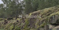 Terreno Rústico na Muxagata