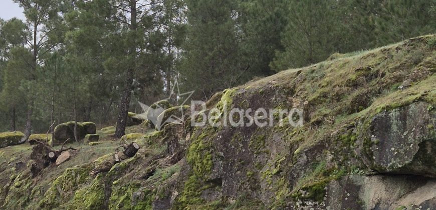 Terreno Rústico na Muxagata