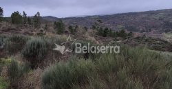 Terreno Rústico na Muxagata