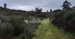 Terreno Rústico na Muxagata