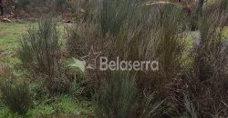 Terreno Rústico Muxagata